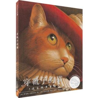 81、穿靴子的猫👢