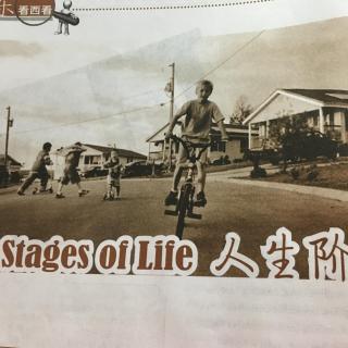 Stages of Life 人生阶段