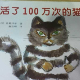 活了100万次的猫