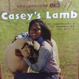 casey's lamb