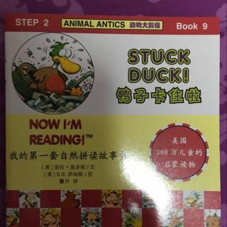 Stuck duck