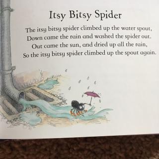 Itsy Bitsy Spider 小蜘蛛