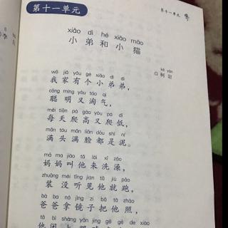 小弟和小猫 kiki诵