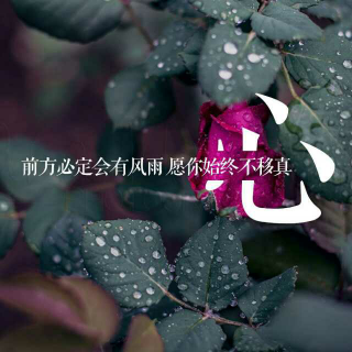 席慕蓉——静寂的角落   序 爱亚“喜欢”