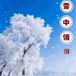 雪中情