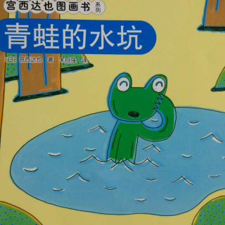 青蛙的水坑