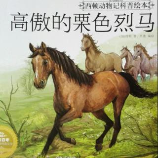 绘本故事《高傲的栗色烈马》