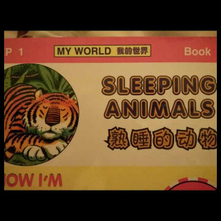 sleeping animals