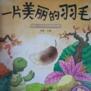 苹果树美术基地有声绘本~《一片美丽的羽毛》