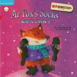 Mr. Fox's Socks