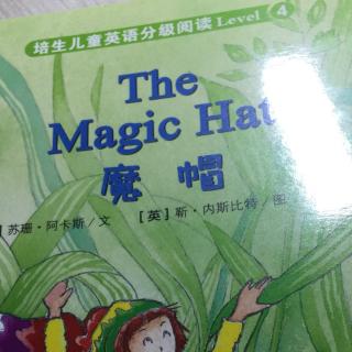 the magic hat