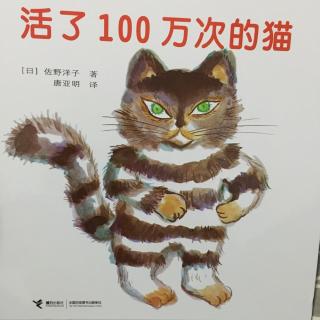 145.活了100万次的猫