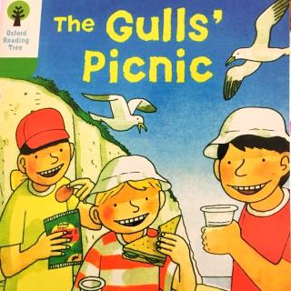 DD 2-4 The Gulls' Picnic