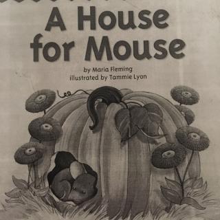 a house for mouse