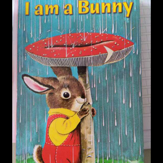 I am a Bunny- Gleb