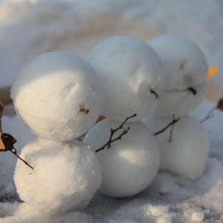 《光阴——中国人的节气》（大雪）