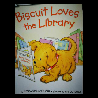 Biscuit-library
