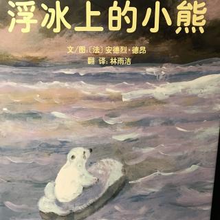 浮冰上的小熊