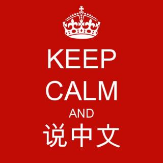 “老外”学中文