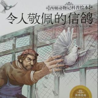 绘本故事《令人敬佩的信鸽》