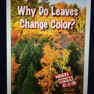 Why Do Leaves Change Color？为什么树叶变了颜色