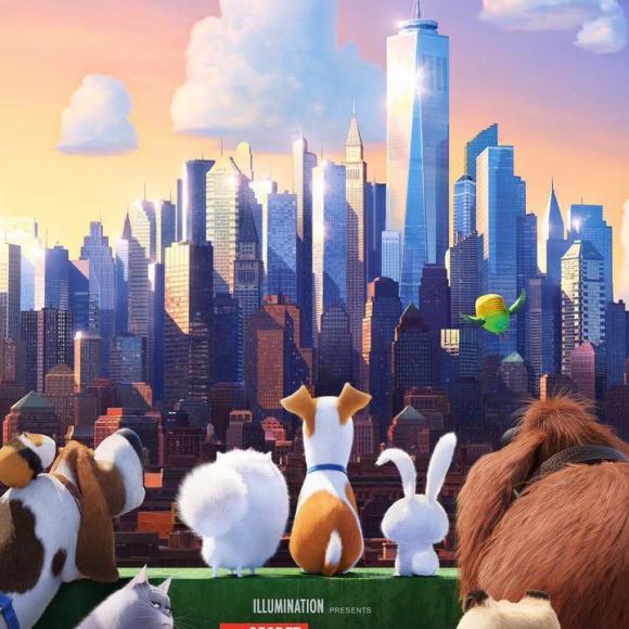 当一次小尾巴(记得关注我哦)