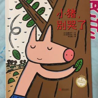 154宫西达也小猪别哭了