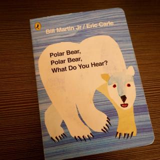 【原版音频】Polar bear what do you see