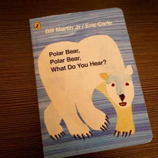 【原版音频】Polar bear跟读