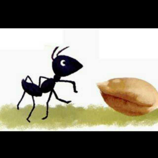 《蚂蚁和麦粒》