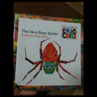 the very busy spider