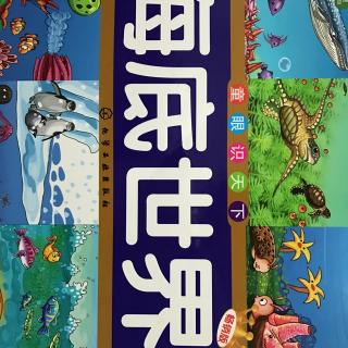 海底世界第1章