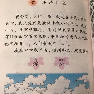 30、我是什么 cici妈