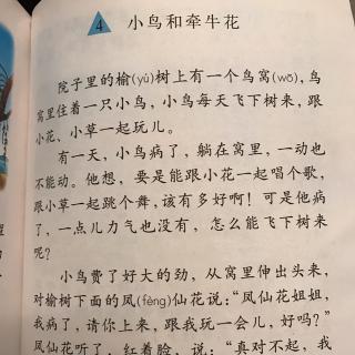 4、小鸟🐦和牵牛花