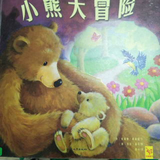 小爱绘本故事-《小熊大冒险》
