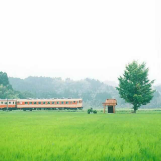 衣食住行在郑州