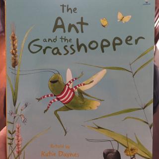 Shawn读1⃣️图-The Ant and the Grasshopper