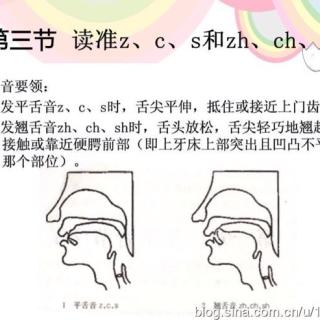 现代汉语舌位图发音图片