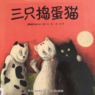 三只捣蛋猫