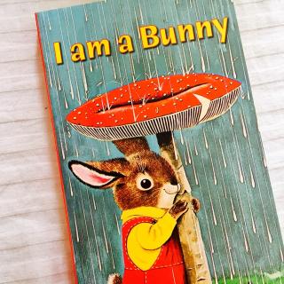 【原版音频】I am a bunny