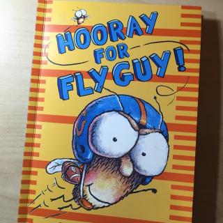 Hooray for fly guy!