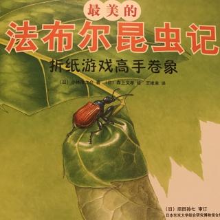 蓓蓓讲故事 《最美的法布尔昆虫记 - 折纸游戏高手卷象》