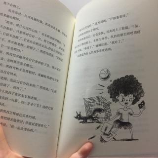 歪歪路小学第二十章凯西