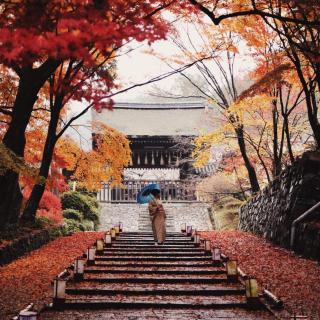 日本初印象——京都、奈良、大阪旅行记