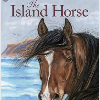 The Island Horse - 9