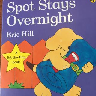 spot stays overnight