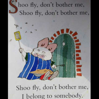 Shoo fly, don't bother me