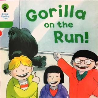 DD 2-10 Gorilla on the run