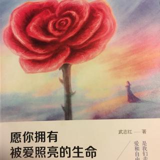 《愿你拥有被爱照亮的生命》定律四（上）