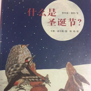 什么是圣诞节？